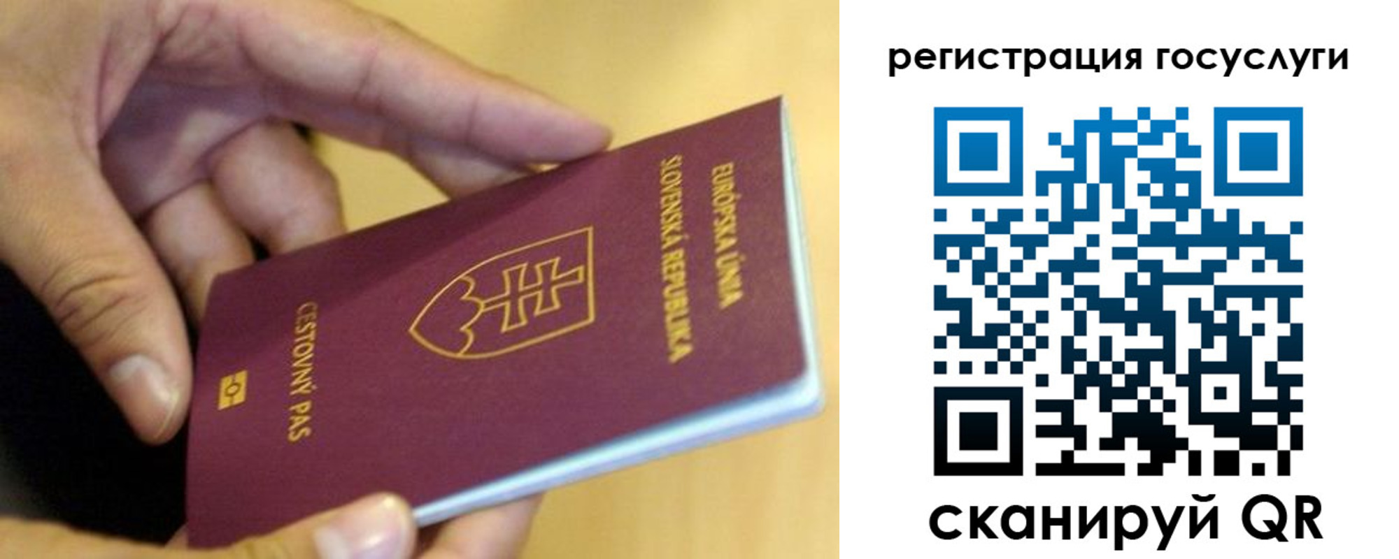 прописка в квартире в Райчихинске